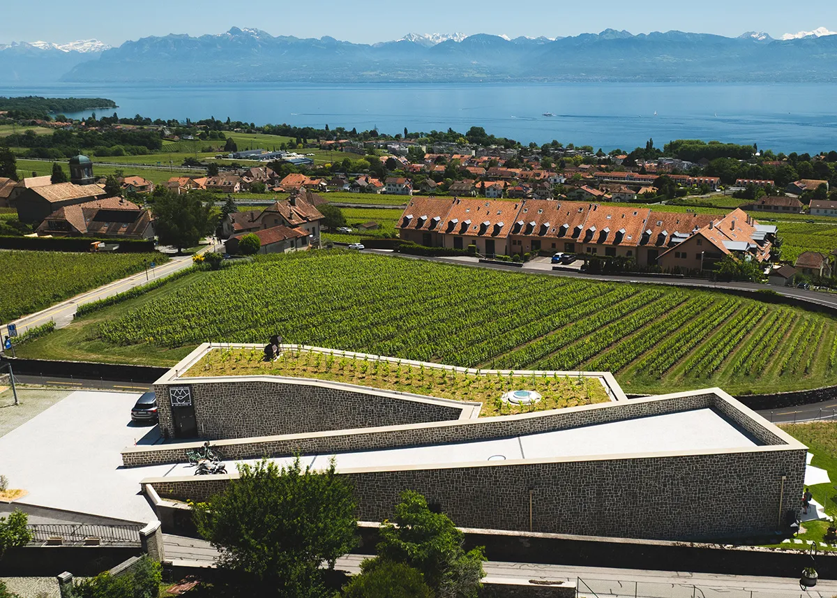 Maison des Vins