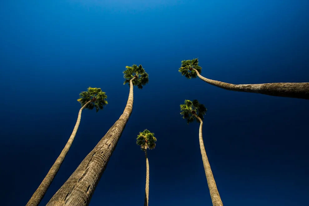 Big Five der Kommunikation